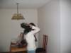 Photo Number 4