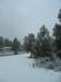 Photo Number 6